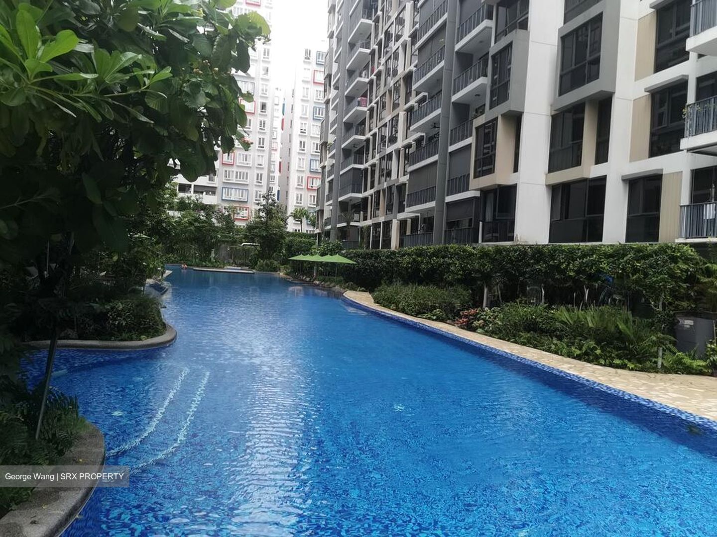 The Rainforest (D23), Condominium #523778661